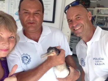 El cormorán ha sido atendido por la veterinaria Minina Canina