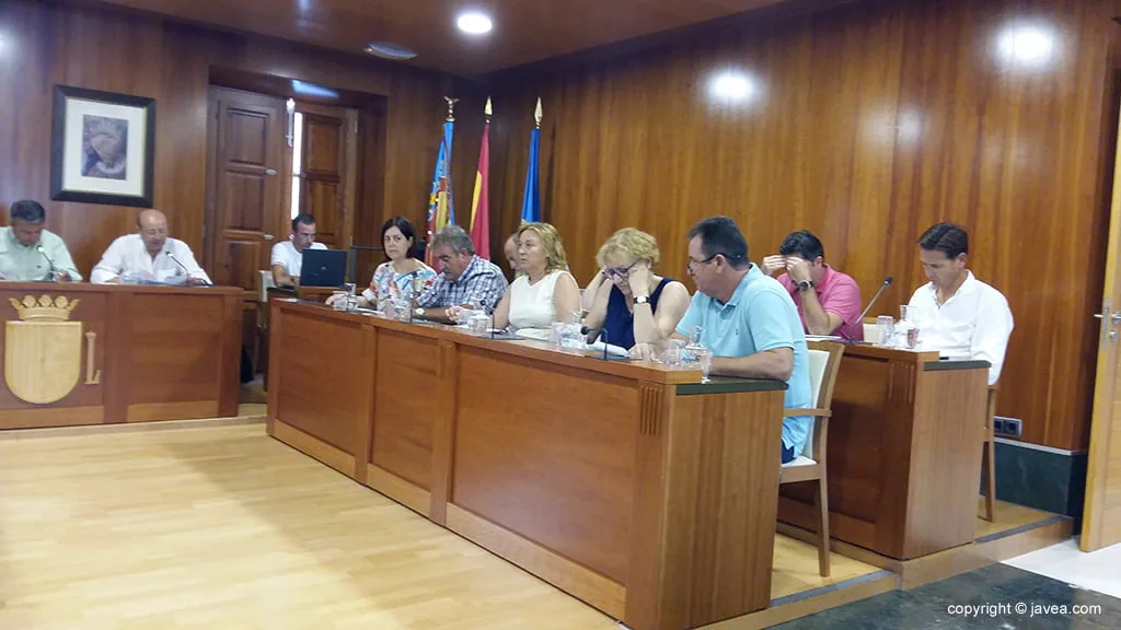Pleno del mes de julio de 2017