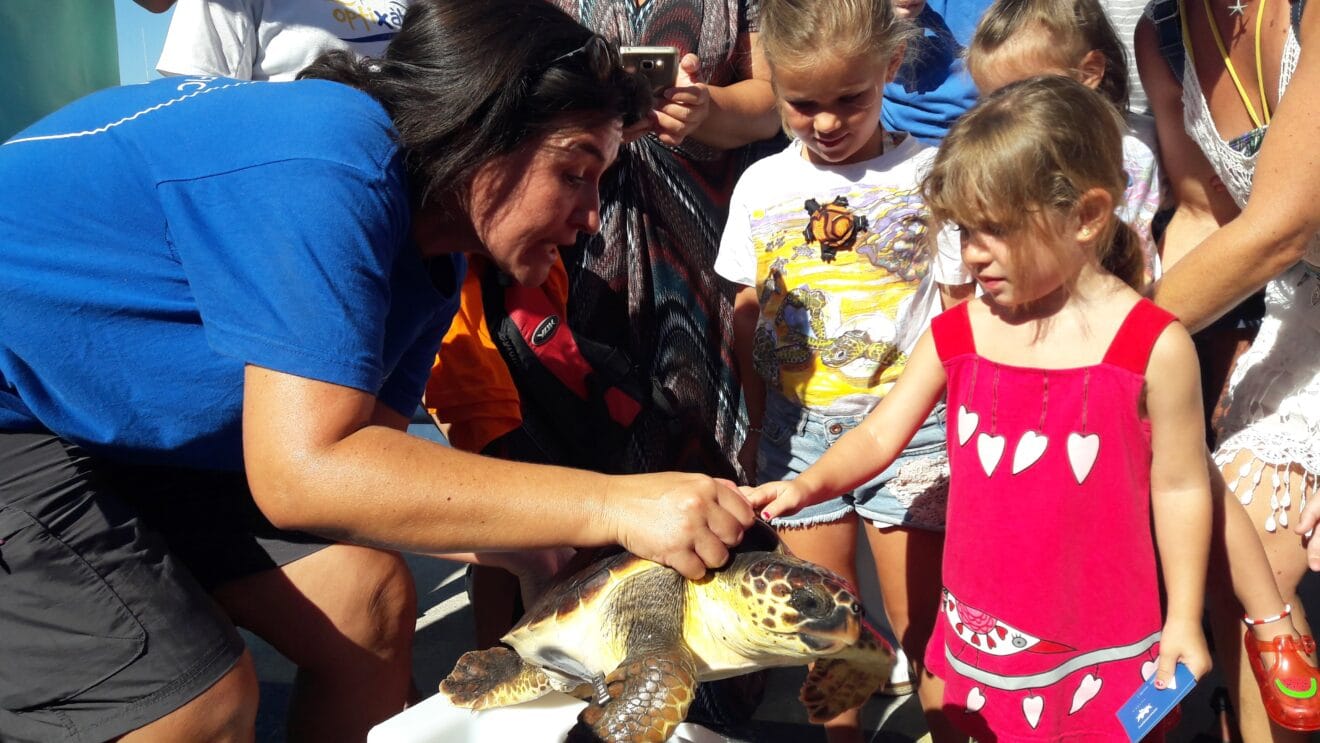 Abril, niña ganadora del concurso del nombre para la tortuga