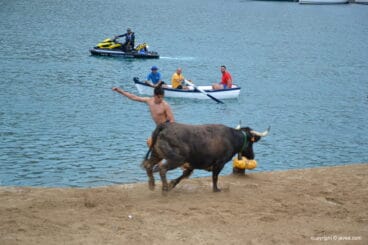 Bous a la mar Xàbia