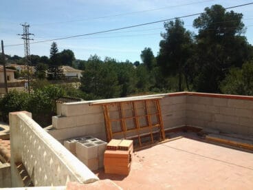 Grandes árboles y pinos en Costa Nova