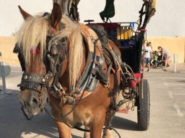 XXX Aniversari de la Volta en Carro a Benitatxell