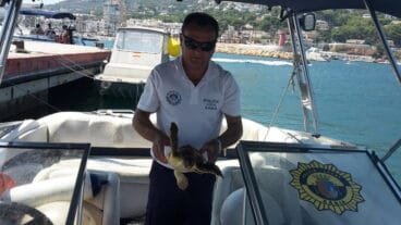 La Policía recoge la tortuga
