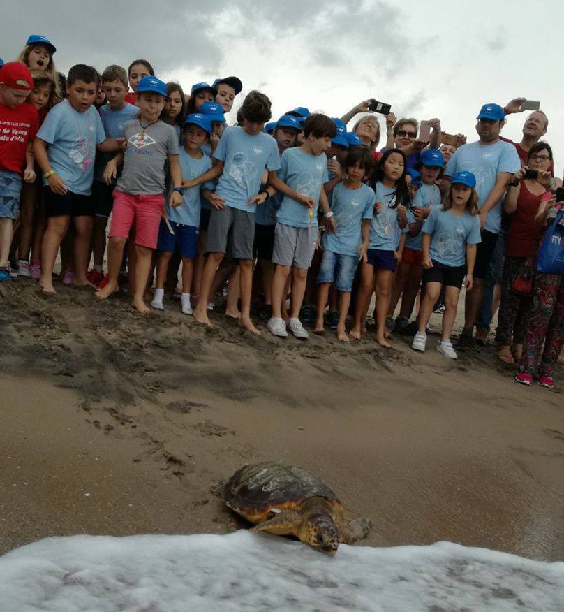 Los niños devuelven al mar una tortuga marina