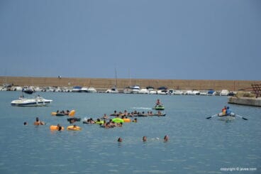 Los toros desde el agua