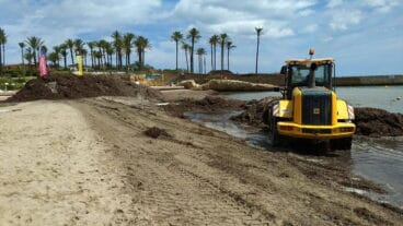 Máquina retirando algas