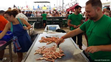 Pescado fresco en el baret dels bous