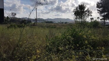 Terrenos llenos de maleza