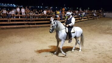 Doma de caballos fiestas Loreto