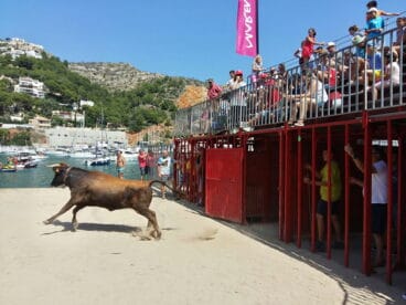 Multitud en el tercer día de Bous a la mar