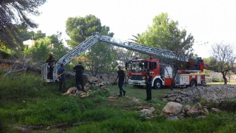 Brandweerlieden gaan door met het redden van een adelaar in Cap Martí