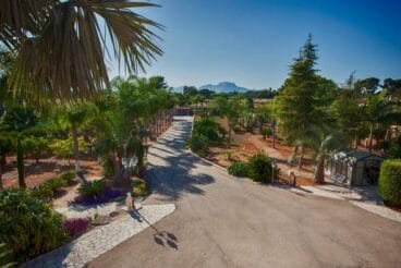 jardin-muy-bien-cuidado-stella-inmo-consulting-