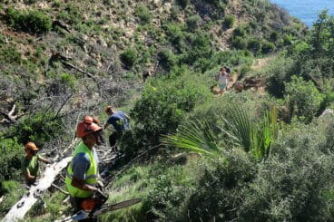 Trabajos forestales en la senda del Tangó