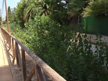 Los vecinos del Tosalet solicitan la limpieza del barranco