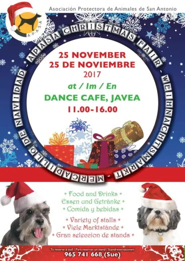 Mercadillo de Navidad APASA
