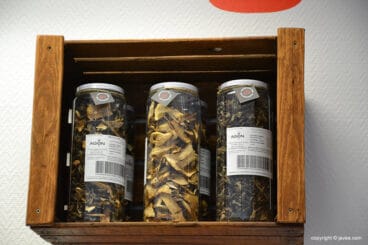 Producto gourmet, setas deshidratas en Gourmeating