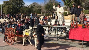 Bendición de animales por San Antonio Abad