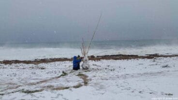 Niños con la nieve