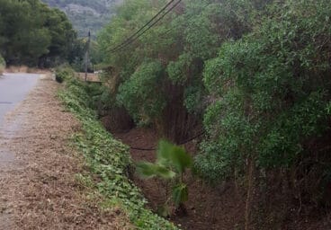 Barranco del Montgó en Xàbia