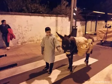 Cabalgata de Reyes Magos’ 18