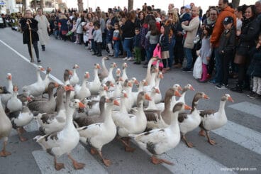 Cabalgata de Los Reyes Magos 2018