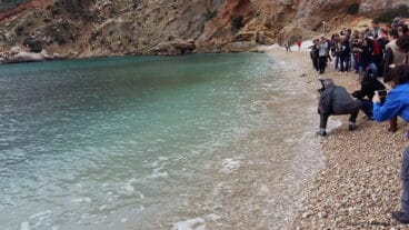 Momento de la suelta de la Tortuga Della