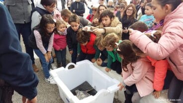 Niños mirando la tortuga