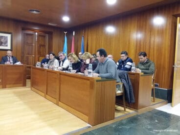 Sesión plenaria de Enero 2018