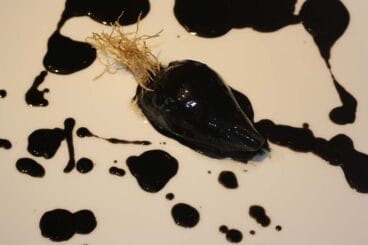 Lienzo de cebolleta y chipiron-Restaurante Hote El-Rodat