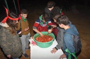 Prueba para buscar pistas