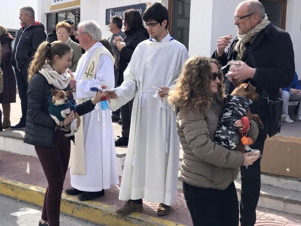 Celebración de San Antonio Abad en Benitatxell