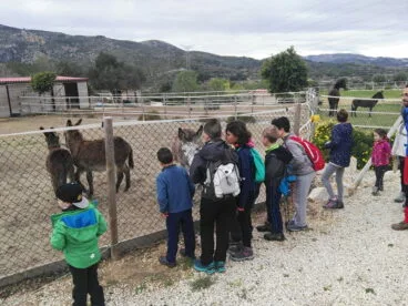 Niños disfrutando al paso por una granja