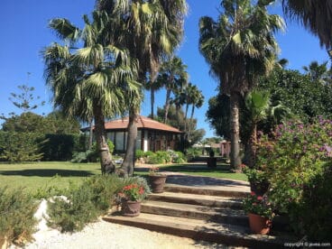 Jardín y árboles ServiGardens