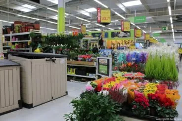 Plantas AKI