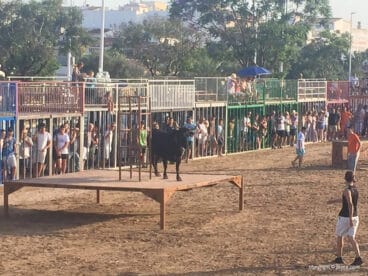 Toros Fogueres