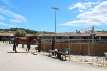 Caballo Restaurante Vall de Cavall