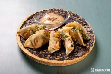 Gyozas con soja – VIDAFINA