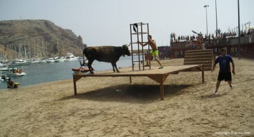 Bous a la mar
