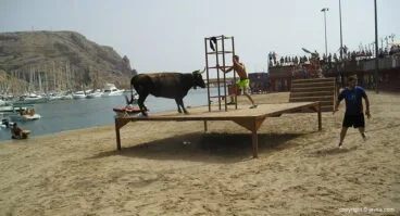 Bous a la mar