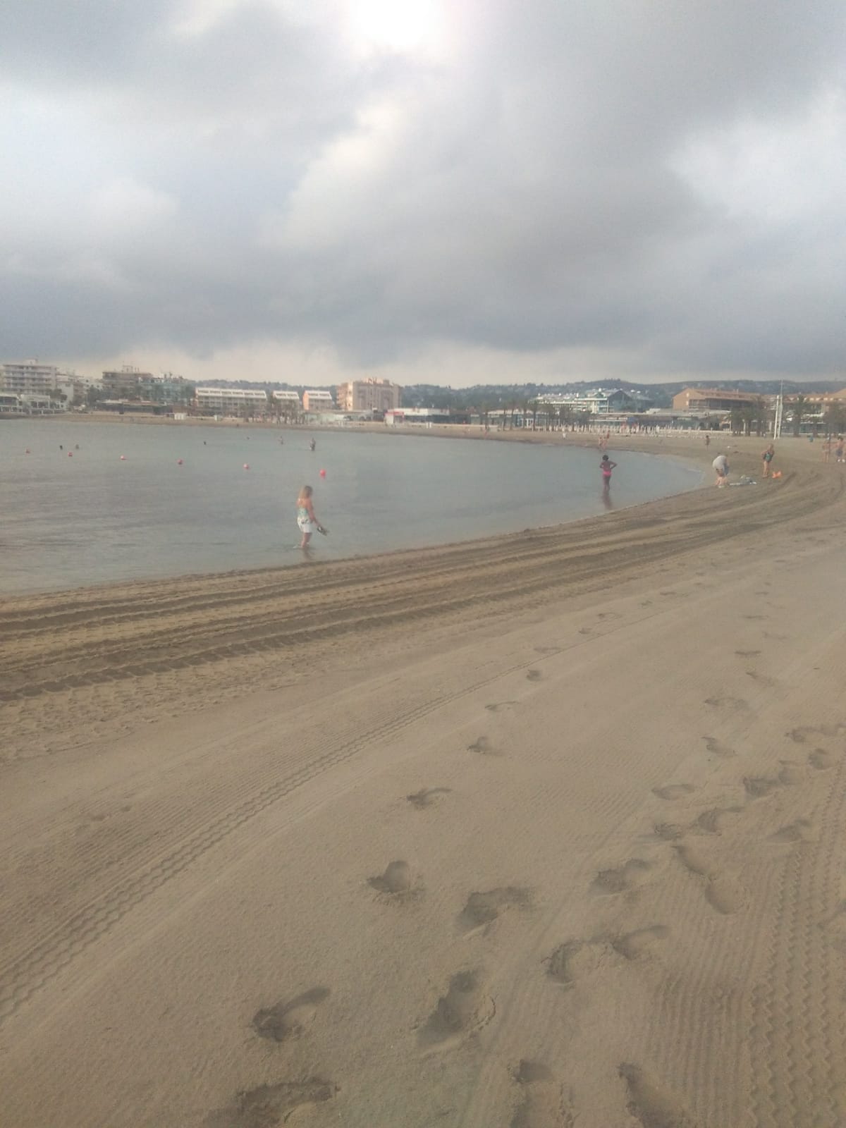 Playa del Arenal limpia de algas