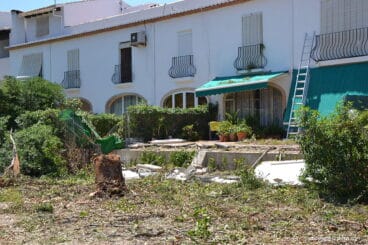Vivienda afectada por la caída de un árbol