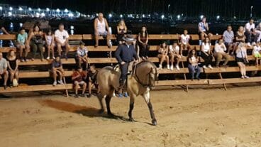Doma de caballo