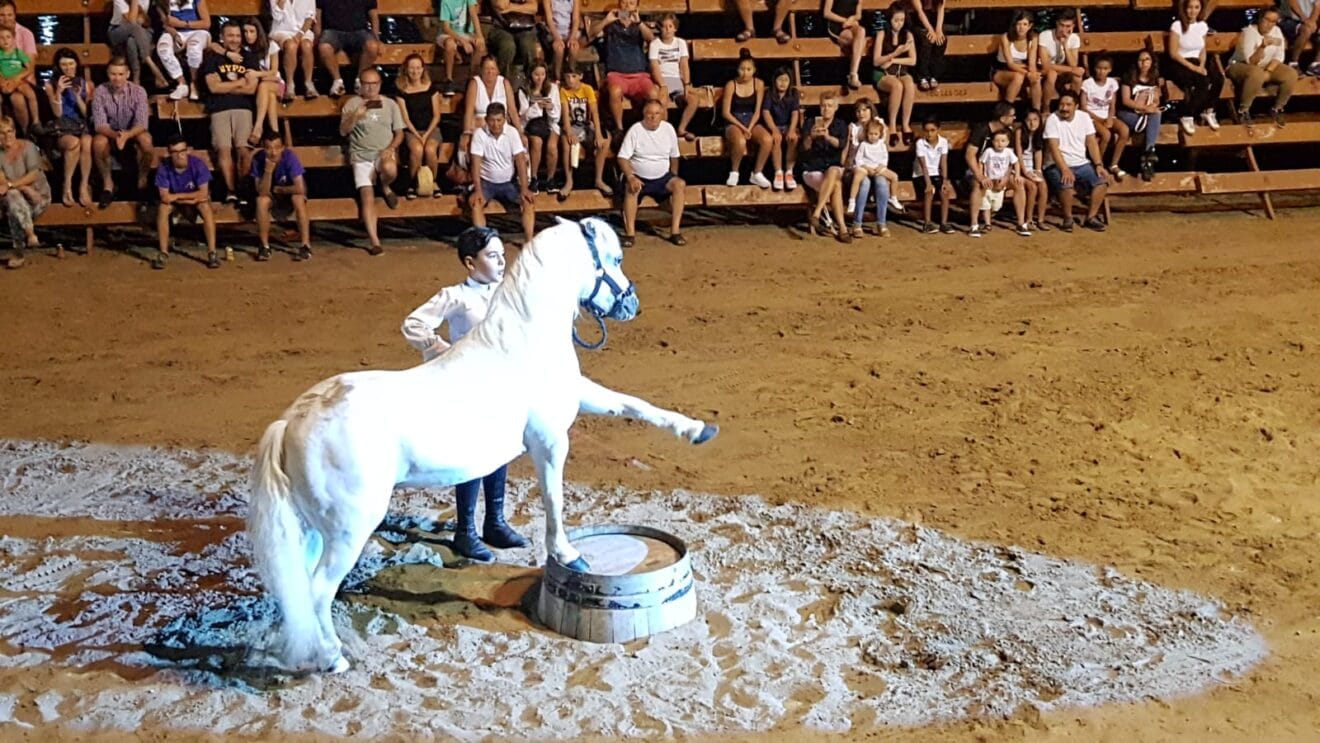 Doma de caballos fiestas del Loreto
