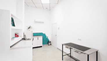 Diferents estades per atendre les teues mascotes