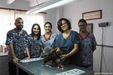 Equip Clínica Veterinària ASIS Vets