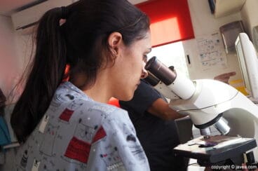 Laboratori Clínica Veterinària ASIS Vets