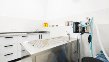 Quiròfan de Clínica Veterinària Asis