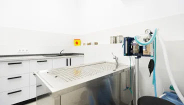 Quirófano de Clínica Veterinaria Asis