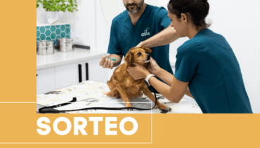 Sorteig Clínica Veterinària ASIS Vets