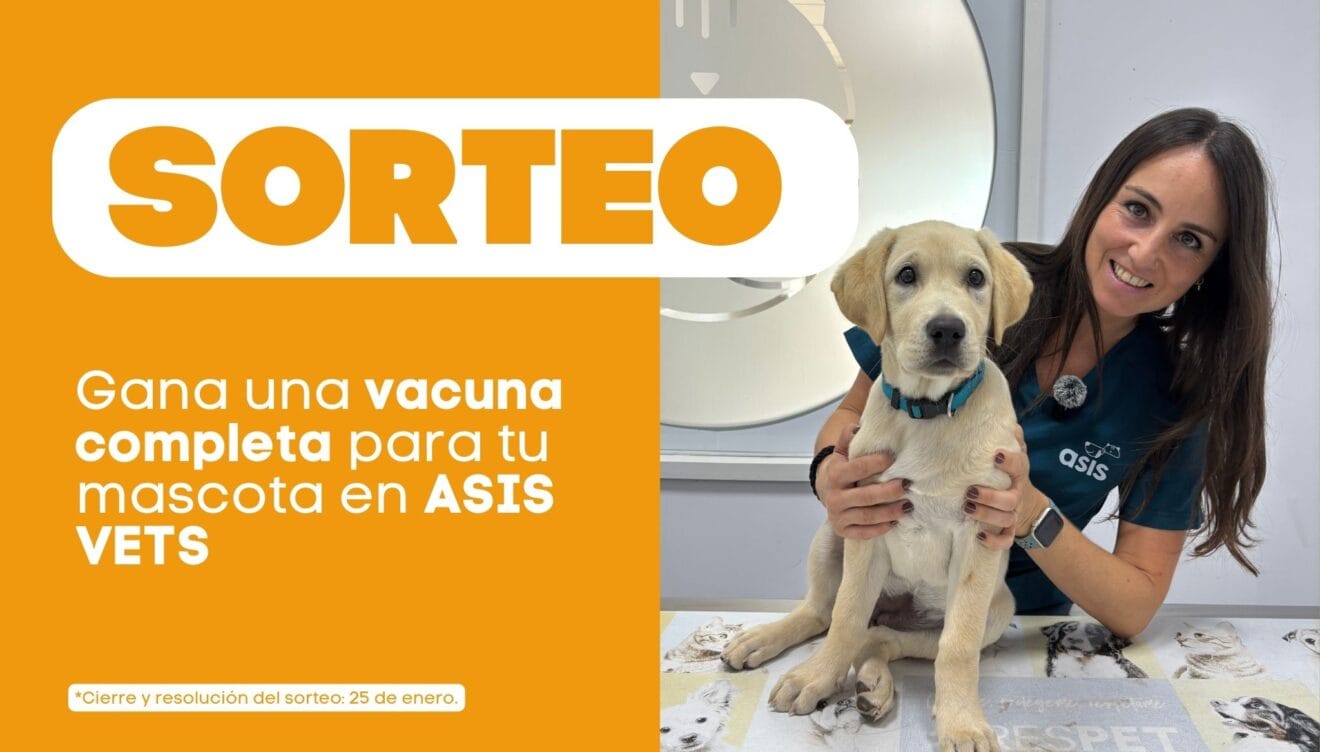 Sorteo de una vacuna completa para tu mascota en Clínica Veterinaria ASIS Vets